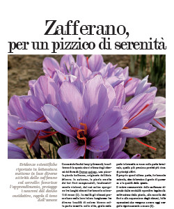 Zafferano