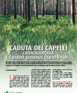 Caduta dei capelli