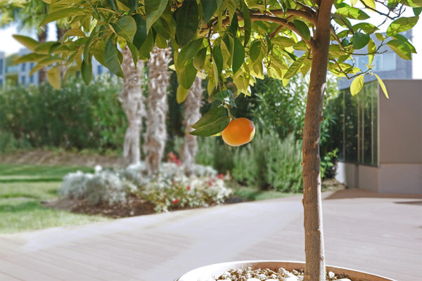 Bios Line Giardino sede