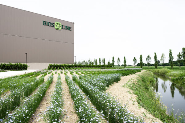 Orto botanico sede Bios Line