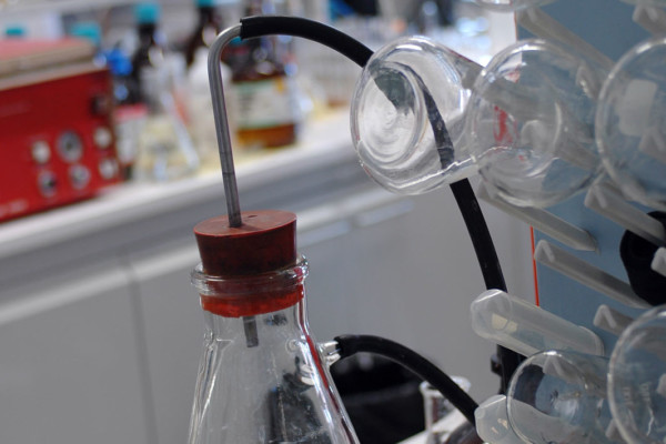 Bios Line stabilimento produzione Padova