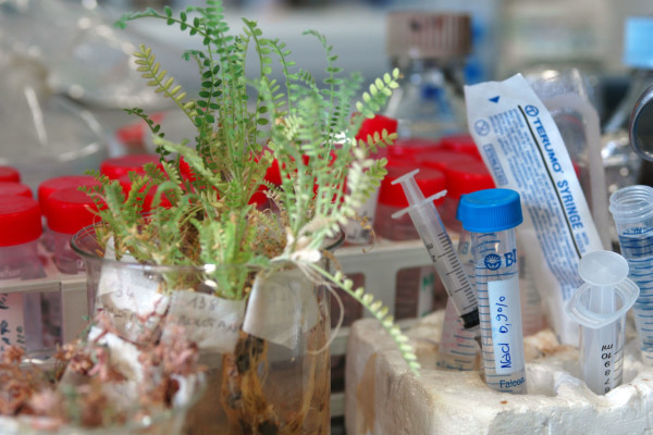 Bios Line stabilimento produzione Padova