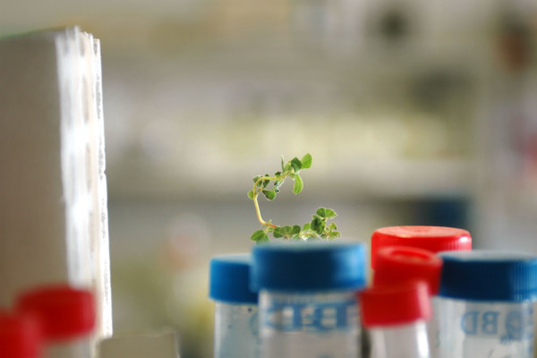 Bios Line stabilimento produzione Padova