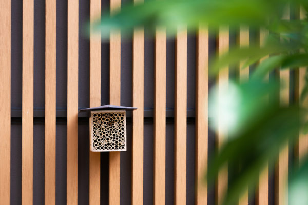 casetta api impollinatrici