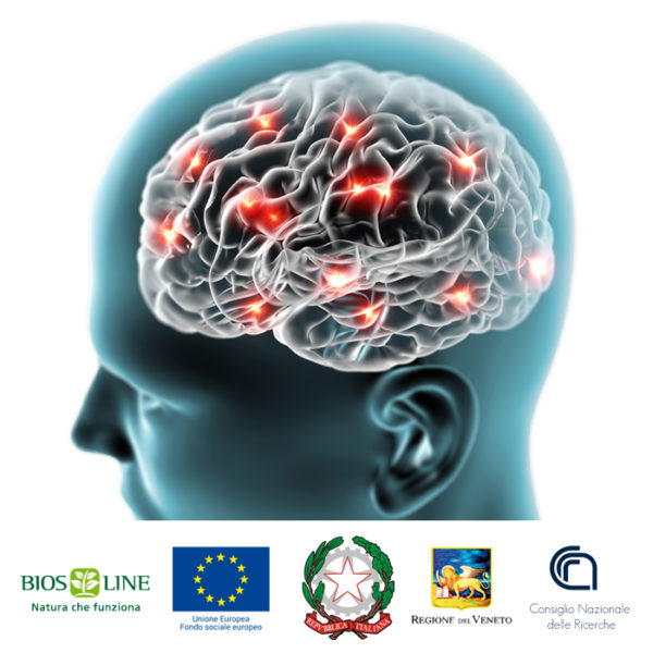 Il CNR e Bios Line fanno squadra per aiutare il cervello