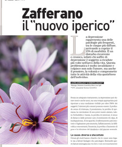 Zafferano il “nuovo Iperico”