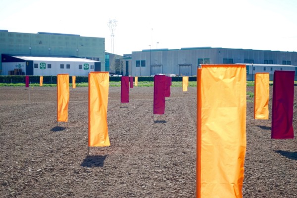 Bios Line evento Spring colors Maggio 2017