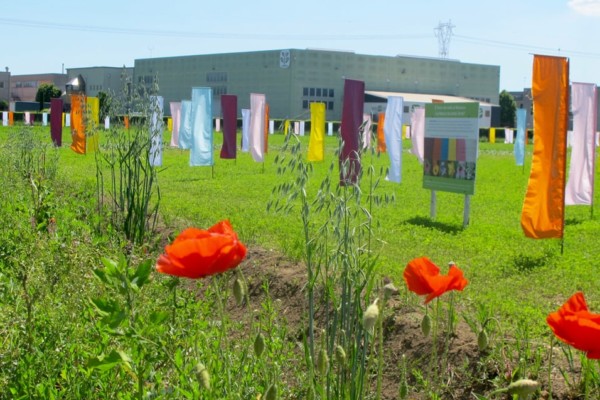 Bios Line evento Spring colors Maggio 2017