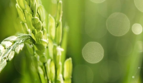 Grazie per aver visitato il nostro stand a Cosmofarma 2022