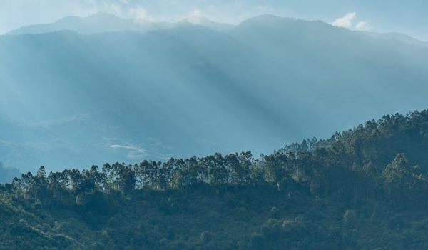 Social & Environment