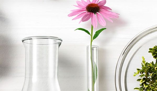 Thank you for signing up!