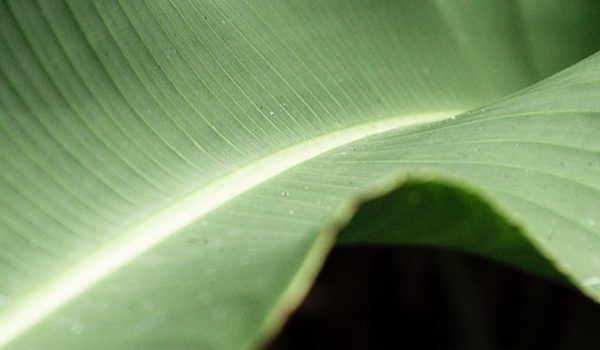 Research and Quality