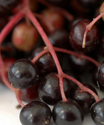 Bios Line Erbario efficacia della natura