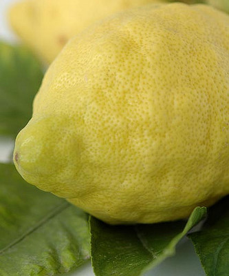 Bios Line Erbario efficacia della natura