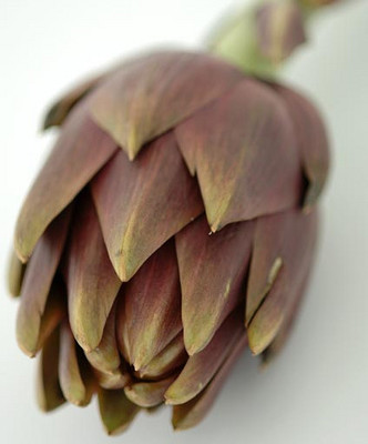 Bios Line Erbario efficacia della natura