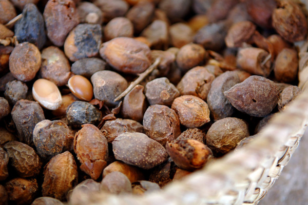 Bios Line olio Argan nota dal sapore esotico