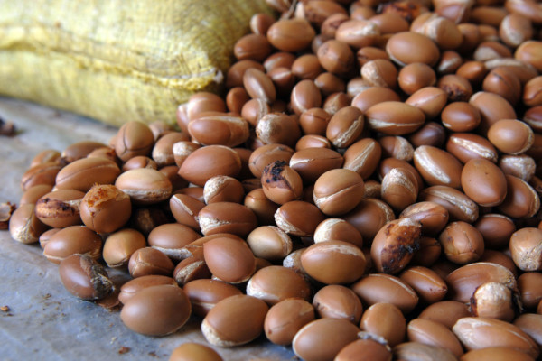 Bios Line olio Argan nota dal sapore esotico