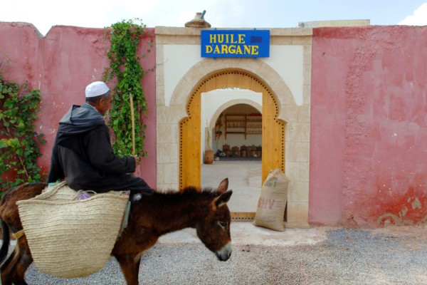 Bios Line olio Argan nota dal sapore esotico