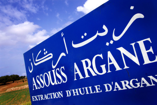 Bios Line olio Argan nota dal sapore esotico