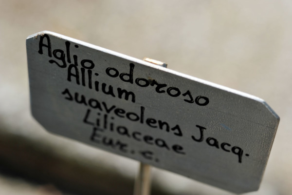 Bios Line Piante Europee