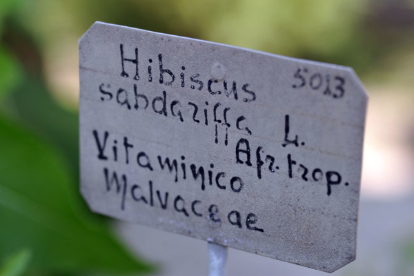 Bios Line Piante Europee