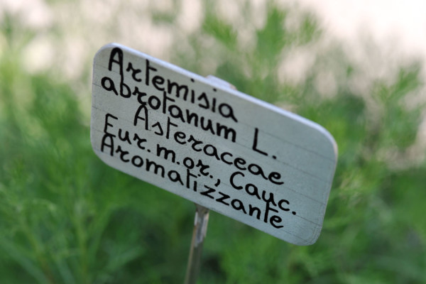 Bios Line Piante Europee