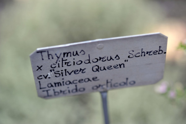 Bios Line Piante Europee