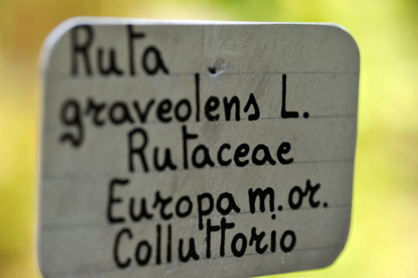 Bios Line Piante Europee