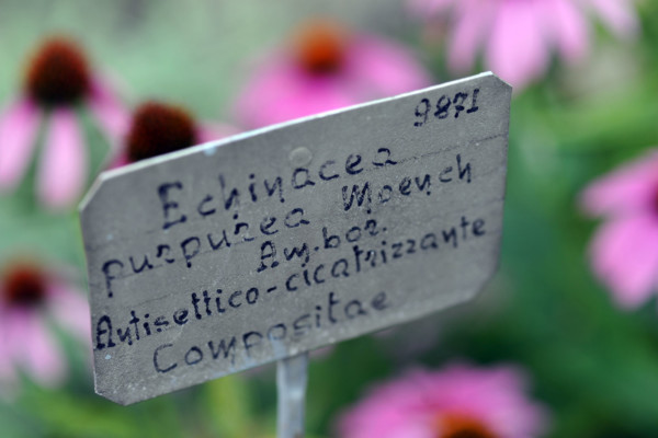 Bios Line Piante Europee