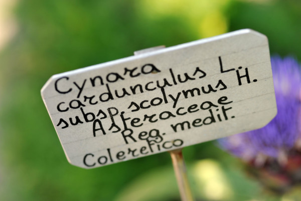 Bios Line Piante Europee