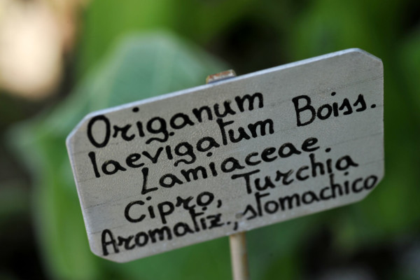 Bios Line Piante Europee