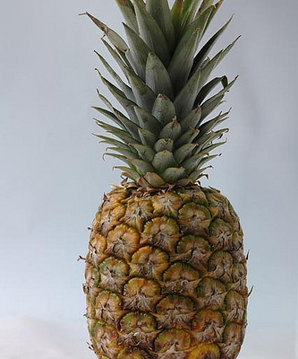 Bios Line Erbario efficacia della natura Ananas