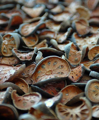 Bios Line Erbario efficacia della natura Arancia