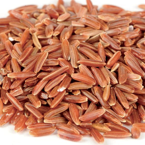 Colesterolo, un nemico silenzioso