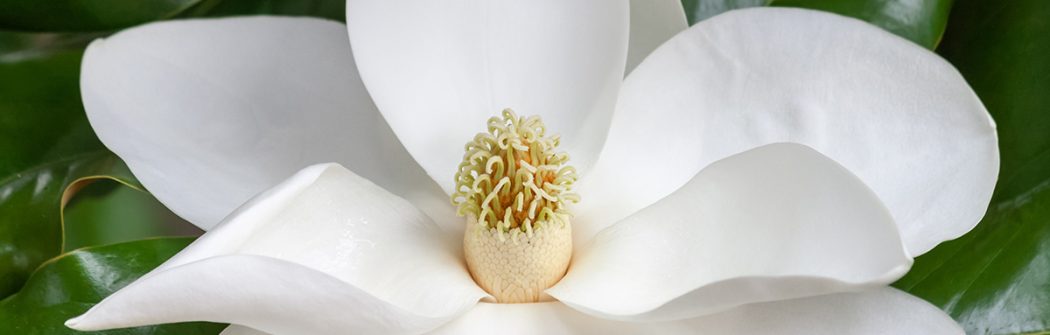 Ansia sotto controllo?