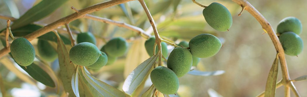 Pressione sotto controllo