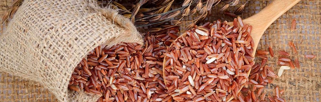 Quando il colesterolo è alto