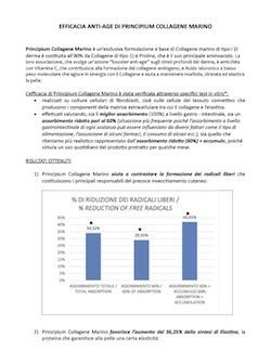 Test in vitro di efficacia di Principium Collagene Marino