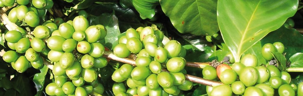 Controllo del peso corporeo