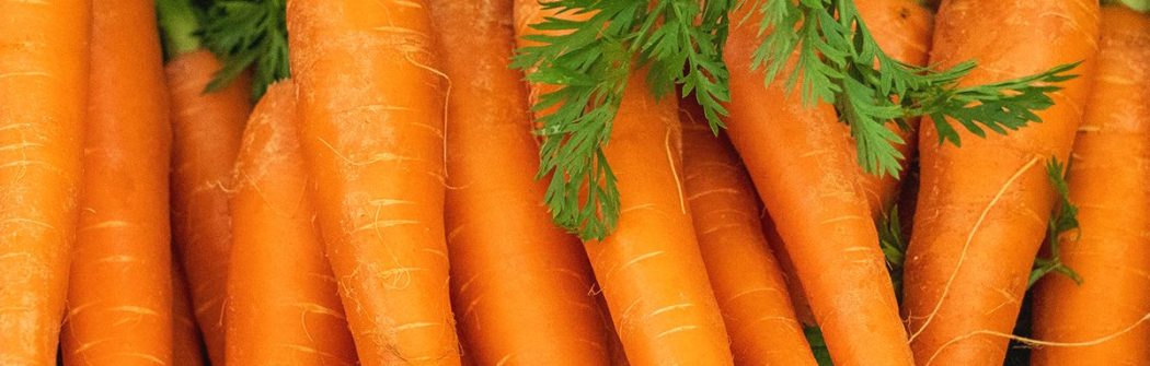 In previsione del sole