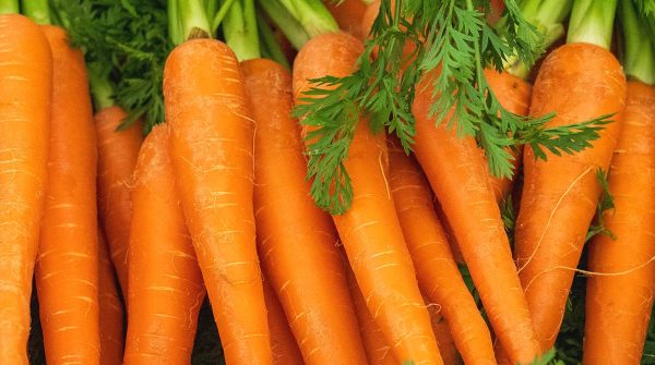 In previsione del sole