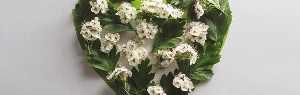 Pressione sotto controllo