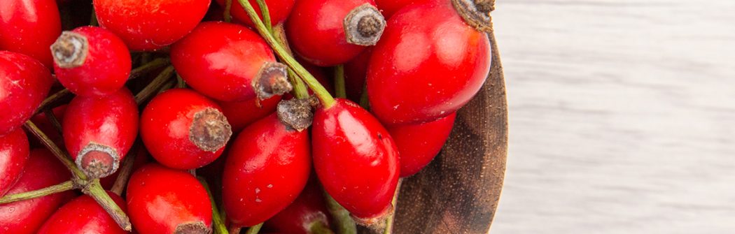 Ricaricare la mente con la natura