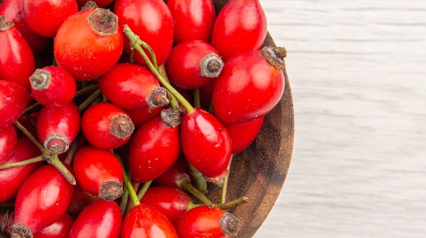 Ricaricare la mente con la natura