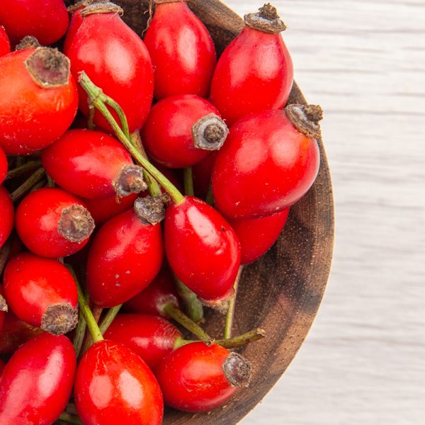 Ricaricare la mente con la natura