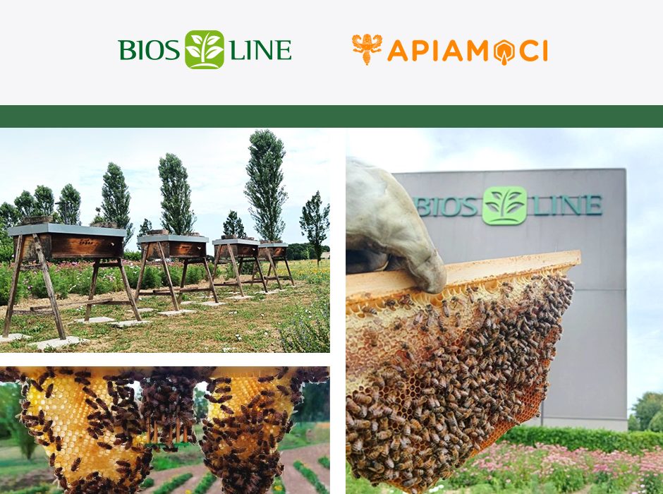 Nuove colonie per il progetto “Apiari”