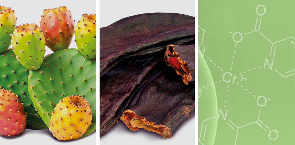 fico d'india, carrubo, 