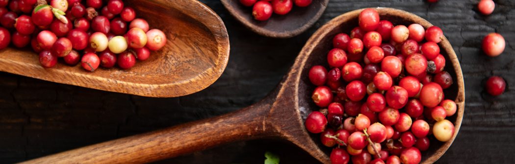 Mirtillo rosso americano e benessere urinario: cosa lo rende unico