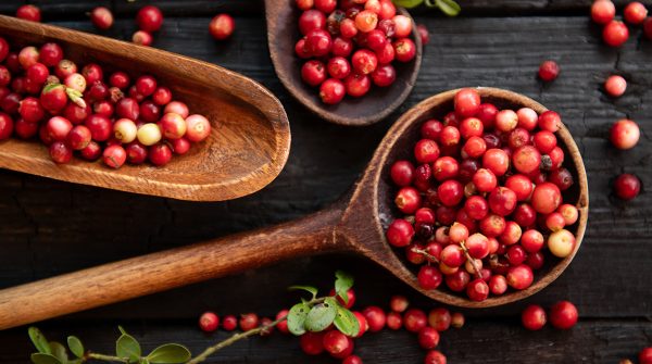 Mirtillo rosso americano e benessere urinario: cosa lo rende unico