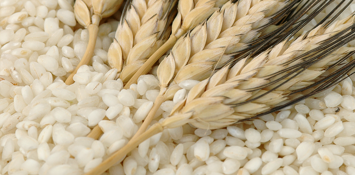 riso e grano macro